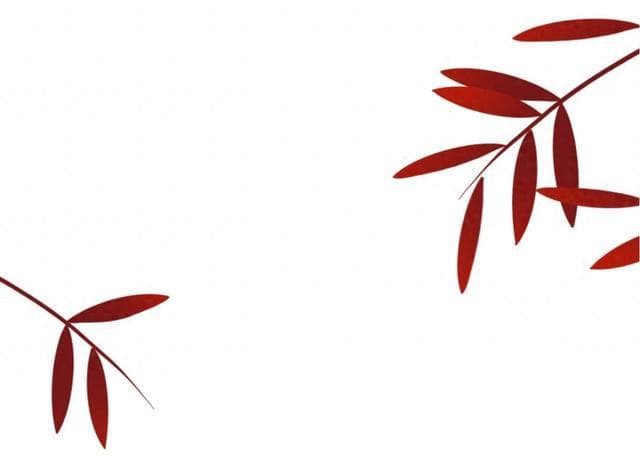 生物多样性｜元宵说鸮：探秘上海市的猫头鹰