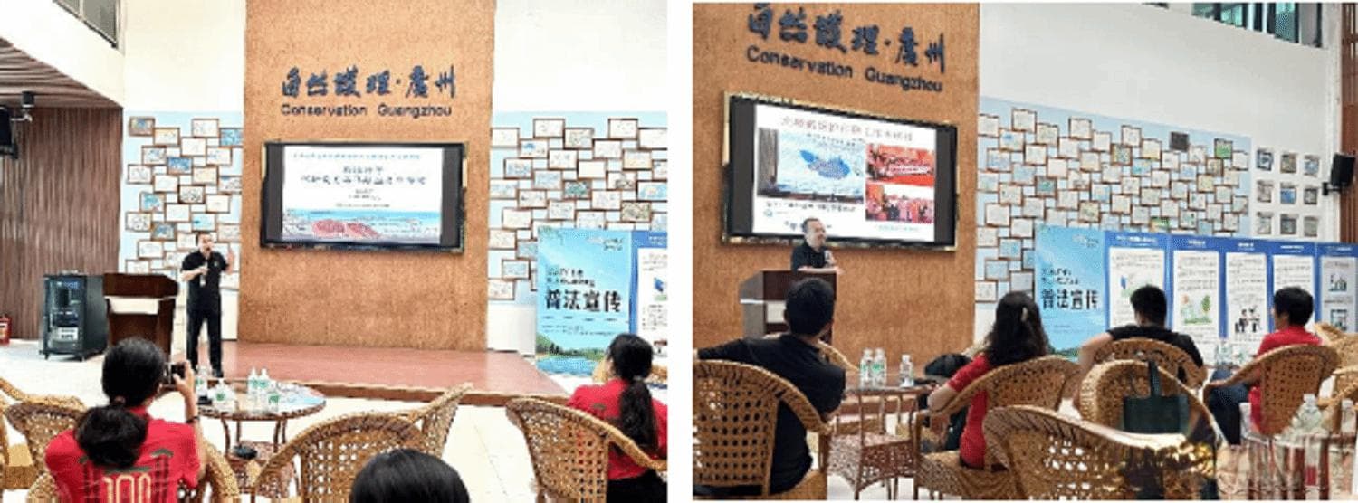 南海所持之以恒推动中华鲎保护工作