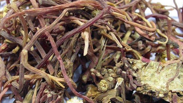 紫菀的功效与作用、禁忌和食用方法