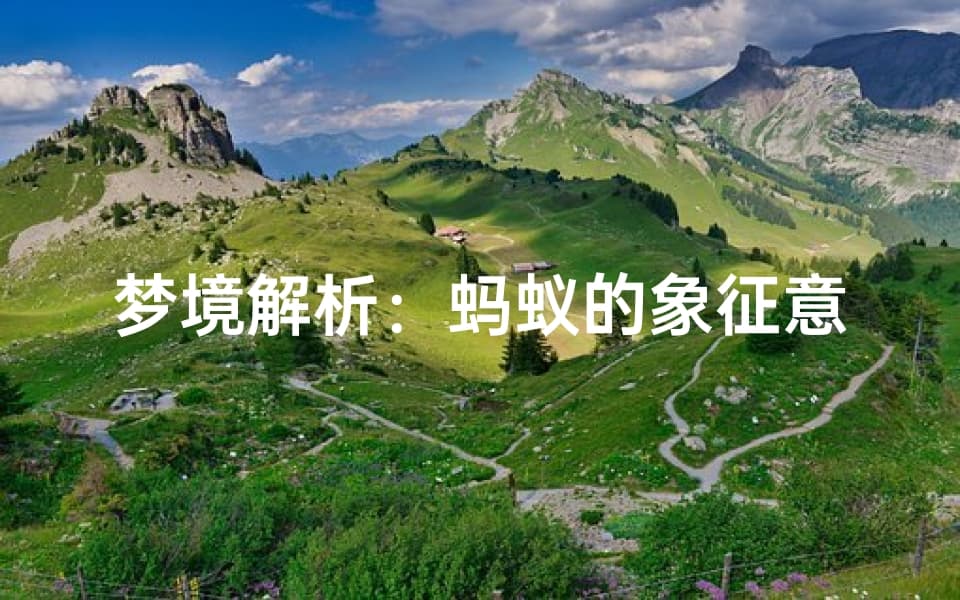 梦境解析：蚂蚁的象征意义，探索潜意识的奥秘