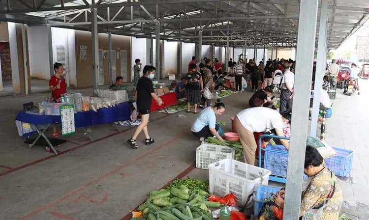设立临时便民点 路畅人安暖民心