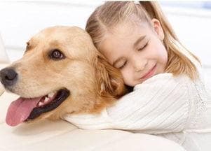 宠物狂犬病隔离攻略，快速安全处理！