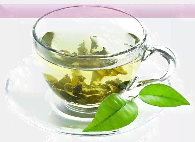 昔归古树茶的口感特点与品质分析