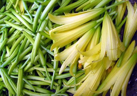 黄花菜的营养价值与功效