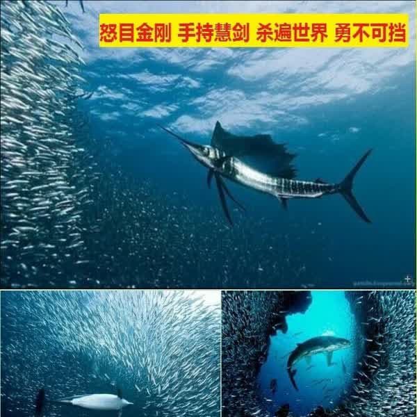 万法皆空：佛教的核心智慧