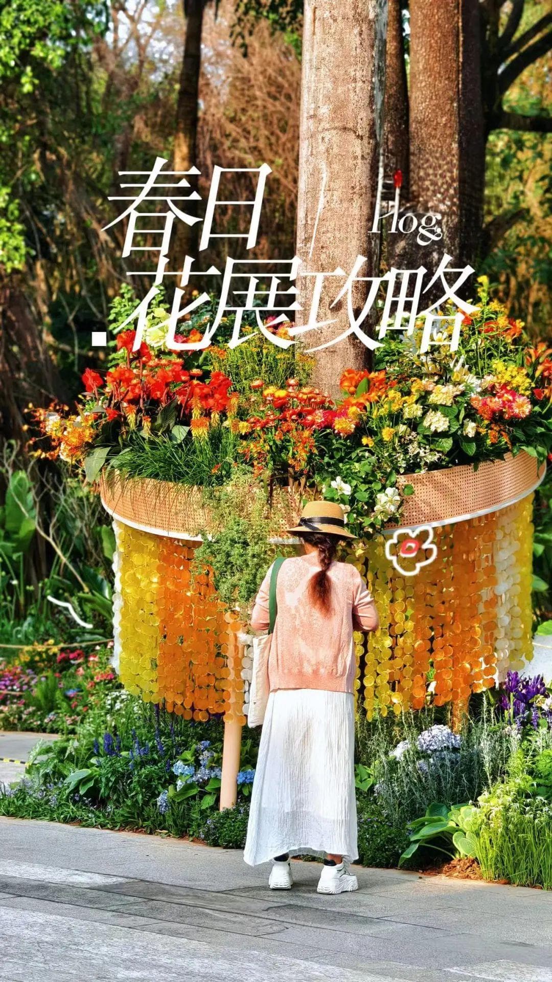 提前踩点拍片“顶流”，2024粤港澳大湾区花展游玩赏花全攻略