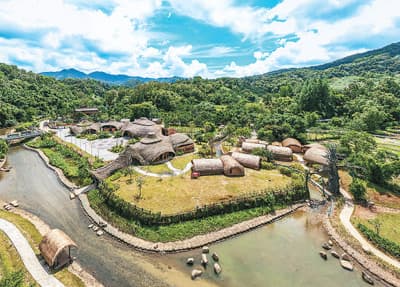 茶山、雨林、梯田——海南五指山文旅“三重奏”