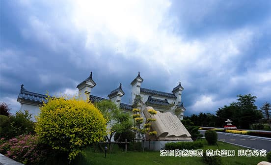 树葬：回归自然的永恒礼赞