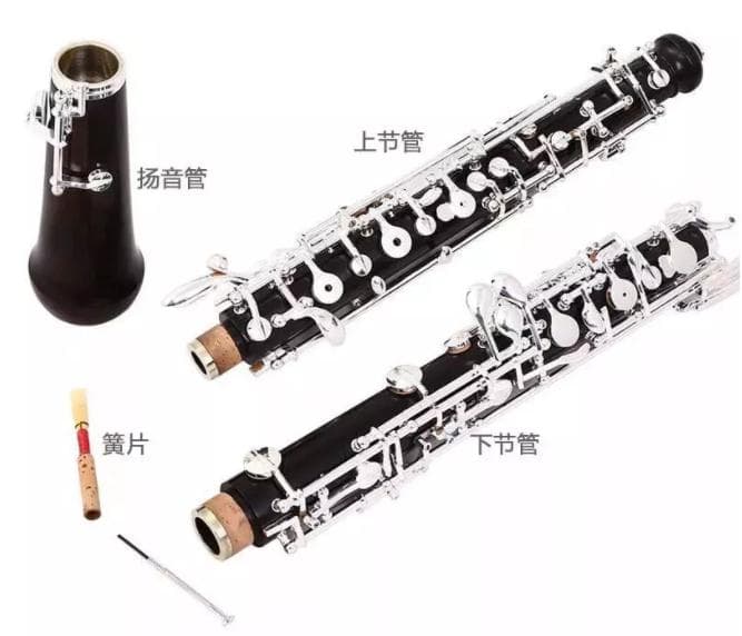 甜美公主与演说家：双簧管与单簧管的四大区别