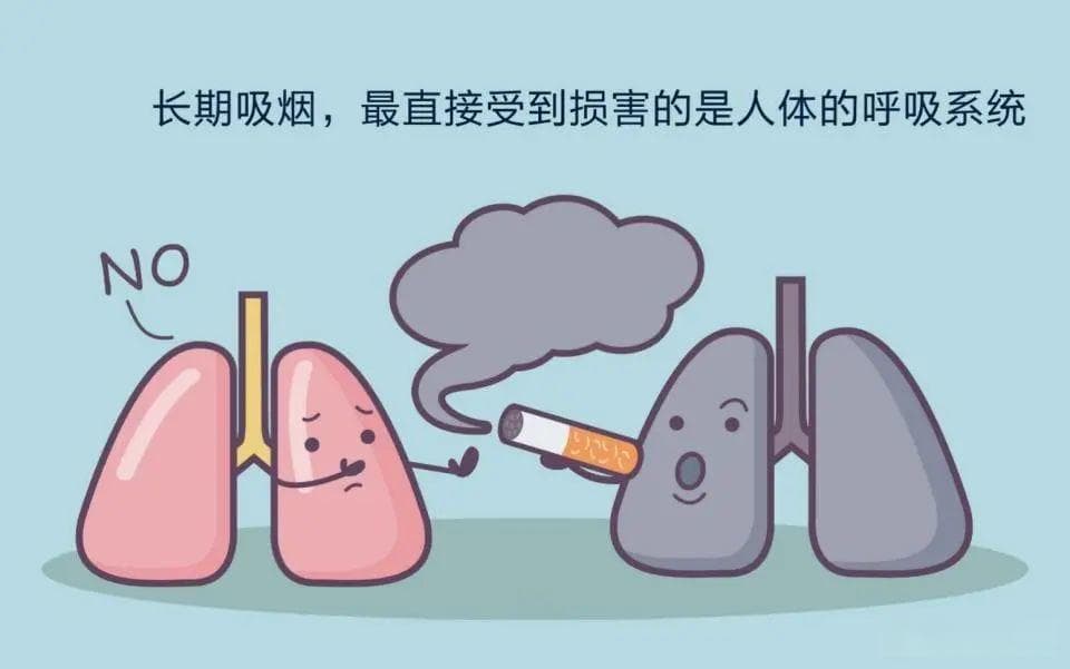 哪些科学研究证明吸烟对健康有害？