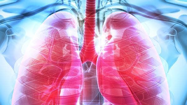 EB病毒肺部感染症状及应对措施