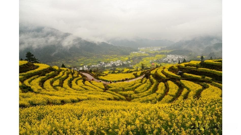 望仙谷：江西上饶的四季仙境，春赏花夏避暑秋观叶冬戏雪