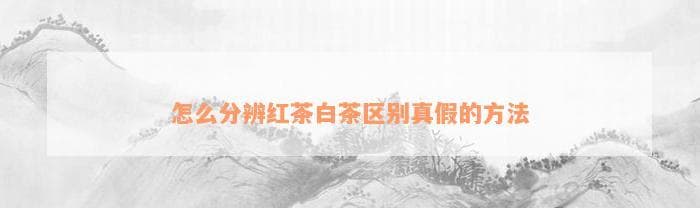 如何分辨红茶白茶真假？从色泽、香气到泡制方式的全方位鉴别指南