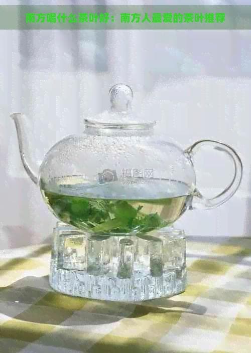 南方喝什么茶叶好：南方人更爱的茶叶推荐