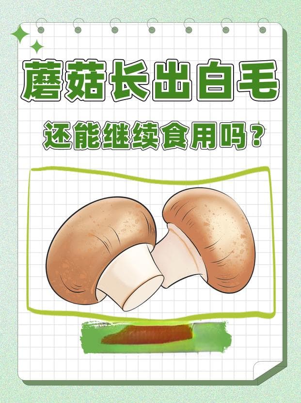蘑菇长出白毛，还能继续食用吗？