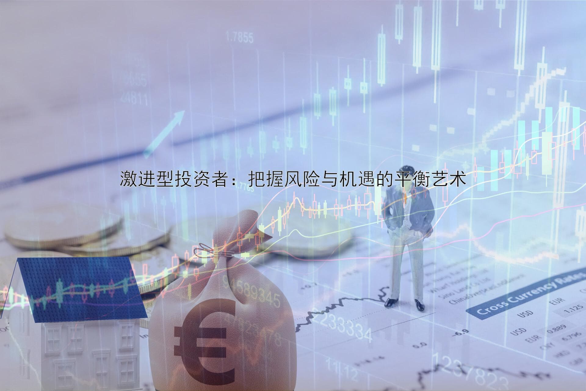 激进型投资者：把握风险与机遇的平衡艺术