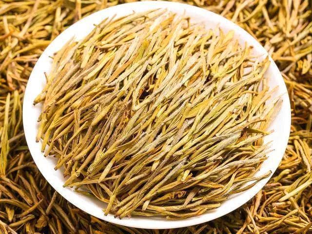 黄金芽是什么茶？绿茶中的“大熊猫”你了解多少？