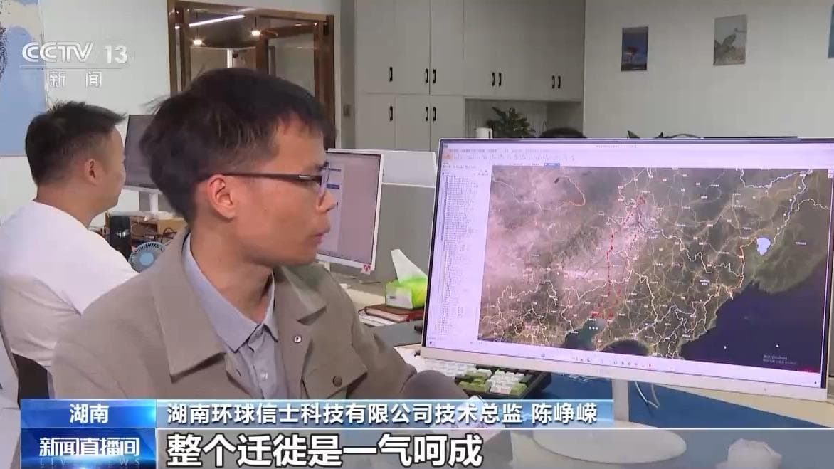 灰鹤“寒假”爱去哪？靠啥导航？大数据揭秘候鸟“搬家”全过程