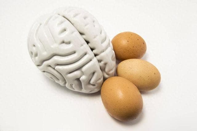 吃鸡蛋能预防老年痴呆，是真的吗？
