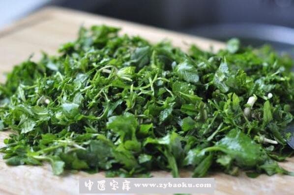 荠菜的功效与作用 荠菜的食用禁忌