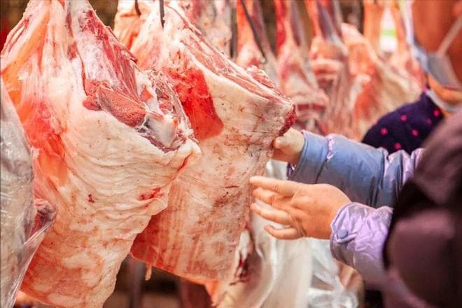 “羊肉五不吃，吃了冬难安”，常吃羊肉的要注意，劝你别不当回事