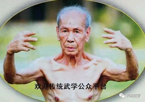 大成拳技击第一拳理：恢复本能