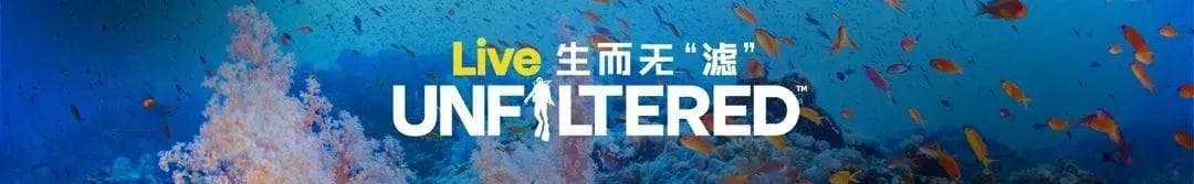 潜水员最爱的鲨鱼竟然濒临灭绝了？