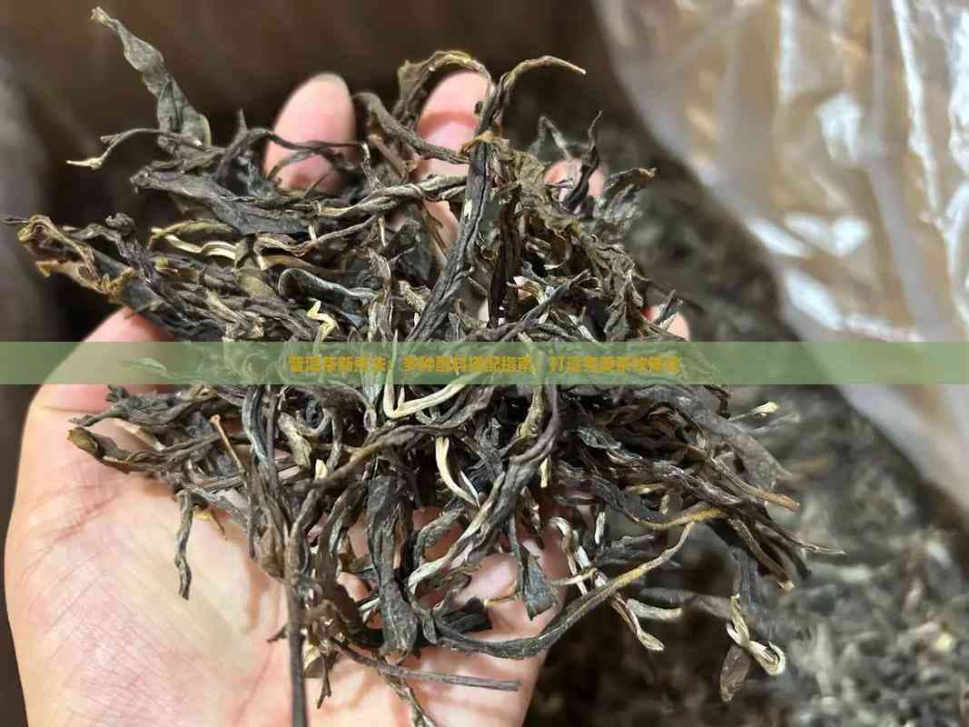 普洱茶新煮法：多种配料搭配指南，打造完美茶饮体验