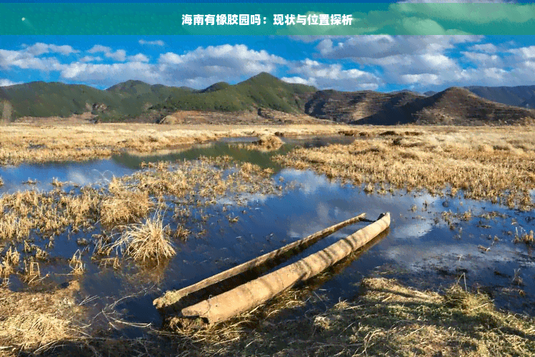 海南橡胶园现状与分布：400万亩橡胶林助力产业发展