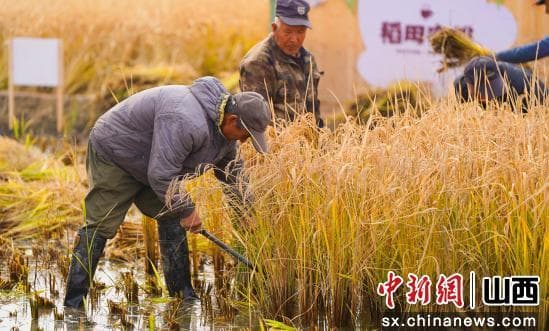 山西太原：以“大美西山”擦亮文旅品牌