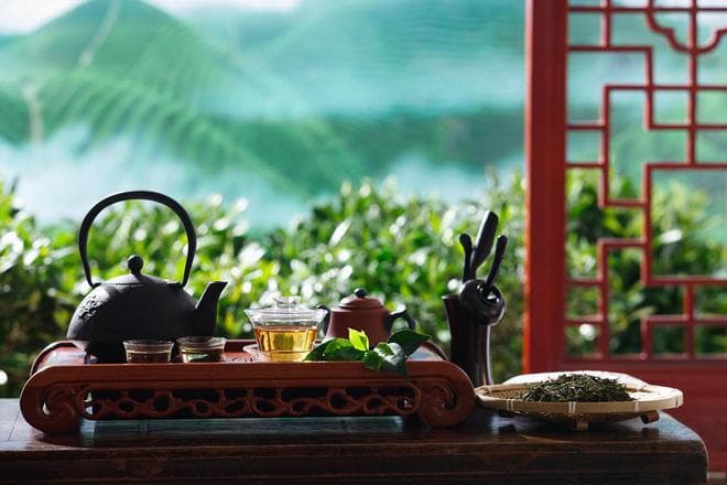 茶香之谜：解码一片叶子背后的科学密码