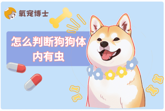 便便正常≠没虫！这些都是狗狗体内有虫的信号！