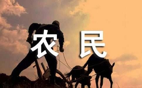 农民回乡创业成功案例