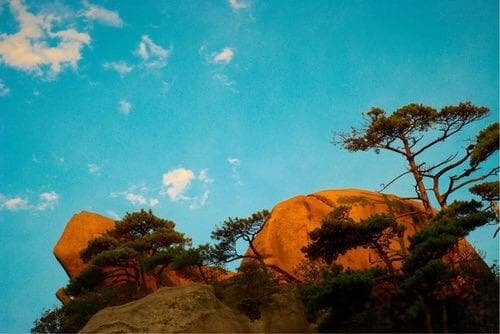 馈赠的艺术：如何恰当地表达心意