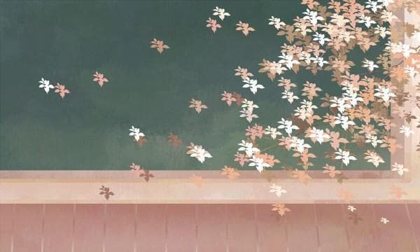 2025金融学专业大学排名30强 历年录取分数线汇总