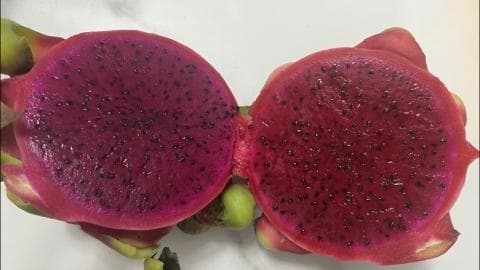 香蕉和火龙果可以一起吃吗