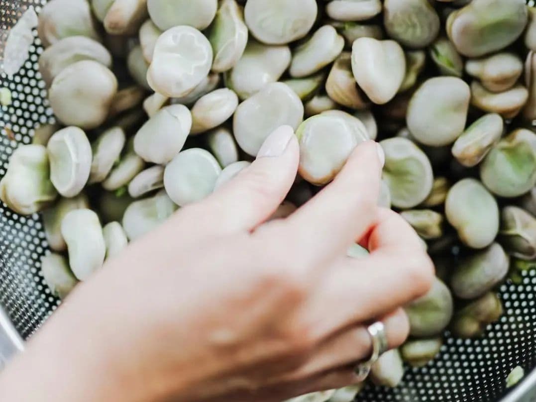 家有蚕豆病宝宝，生活中除了不吃蚕豆，还要注意什么？