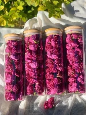 冻干鲜花制作流程及详细方法