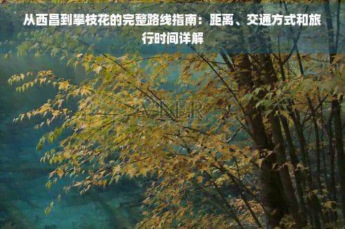 从西昌到攀枝花的完整路线指南：距离、交通方式和旅行时间详解