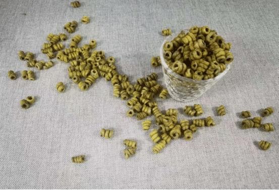 铁皮石斛为什么被称为植物中的黄金：从功效到食用方法了解这一切