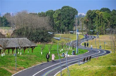 力争2025年 成都新能源车保有量达80万辆