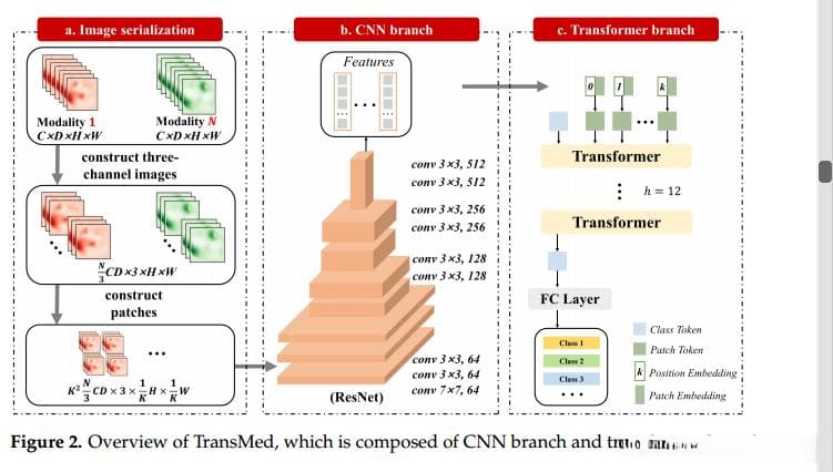 TransMed：Transformer推进多模态医学图像分类