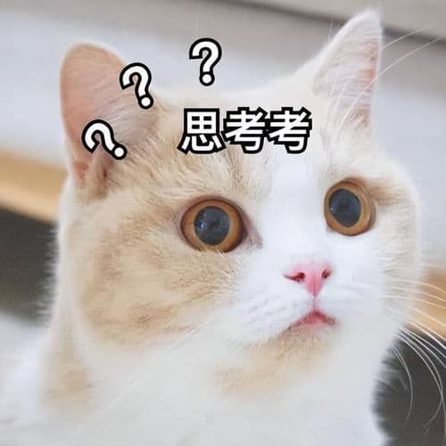 猫咪智商高不高？看这3点：反应快、学习快、解决问题能力强！