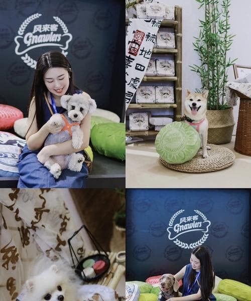 狗狗回家第一天的注意事项（如何让狗狗适应新环境）