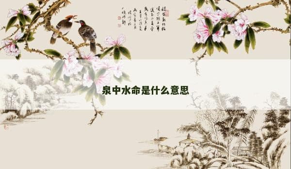 泉中水命是什么意思