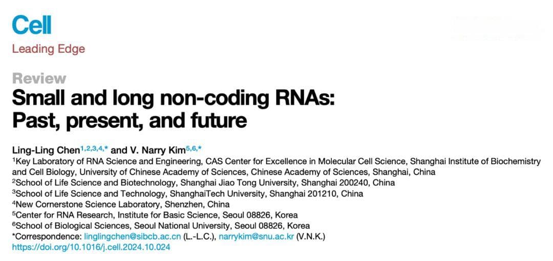 Cell：陈玲玲系统总结小RNA和lncRNA的过去、现在和未来