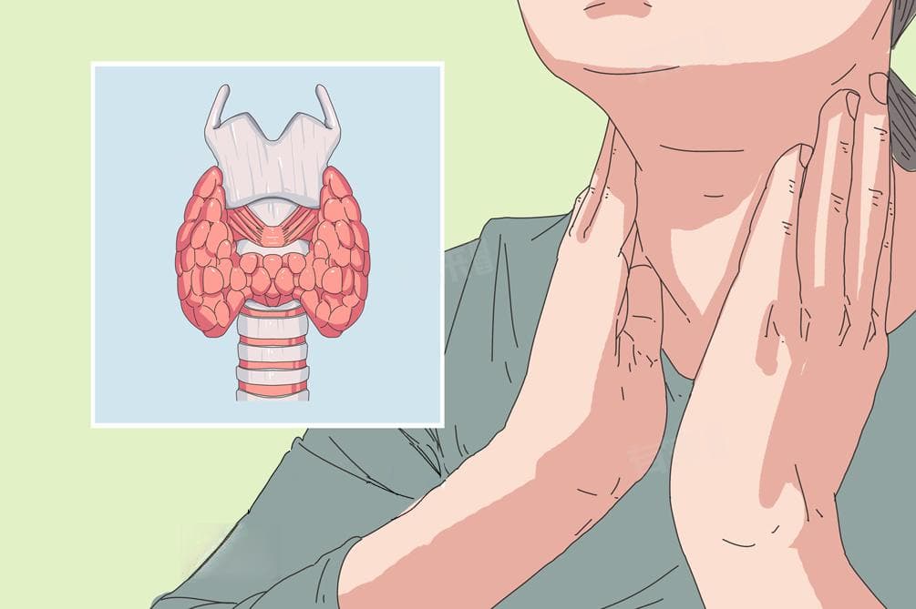看甲状腺挂哪个科