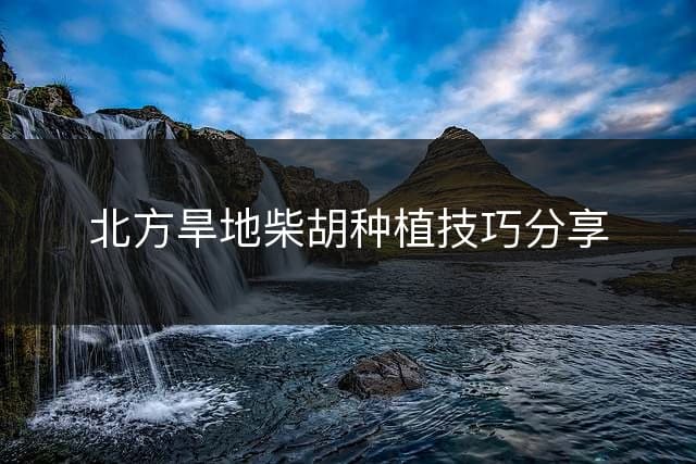 北方旱地柴胡种植技巧分享