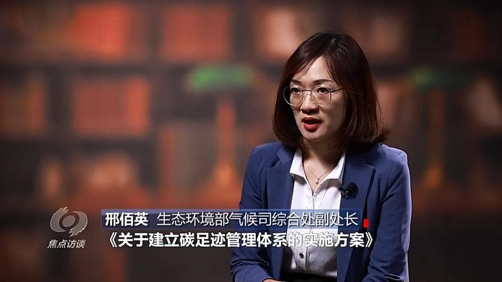 焦点访谈丨摸清碳足迹家底 这里的纺织业“含绿量”抢眼
