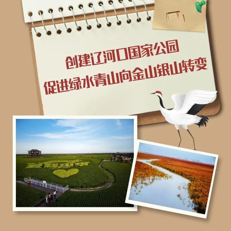 辽宁盘锦：创建辽河口国家公园，促进绿水青山向金山银山转变